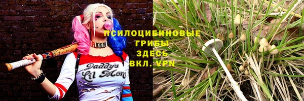 гашик Лиски