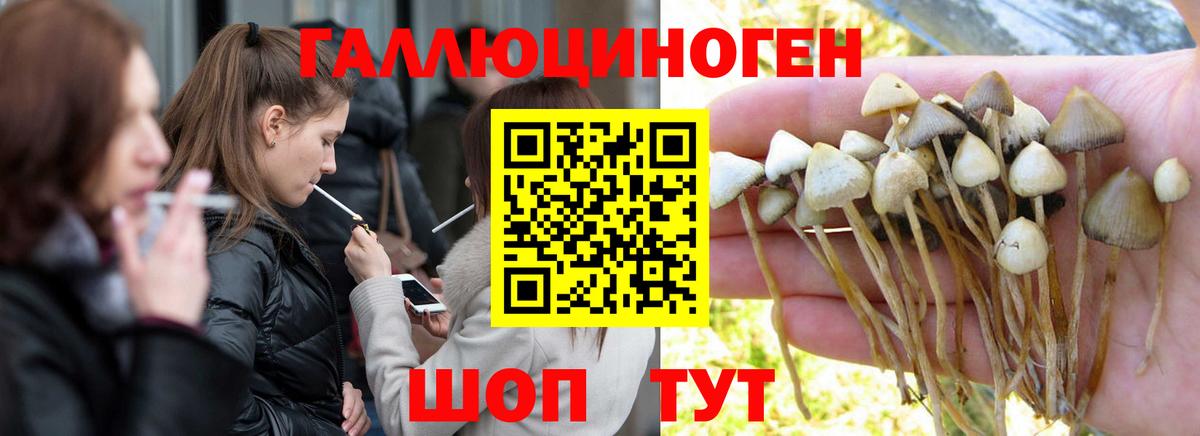 Галлюциногенные грибы GOLDEN TEACHER  где купить наркотик  Егорьевск 
