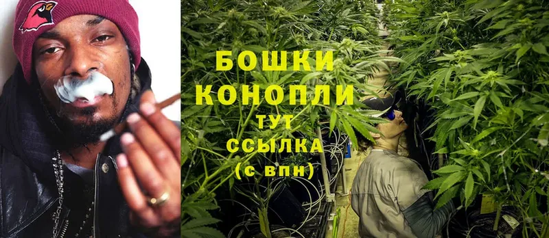 МАРИХУАНА SATIVA & INDICA  наркошоп  Егорьевск 